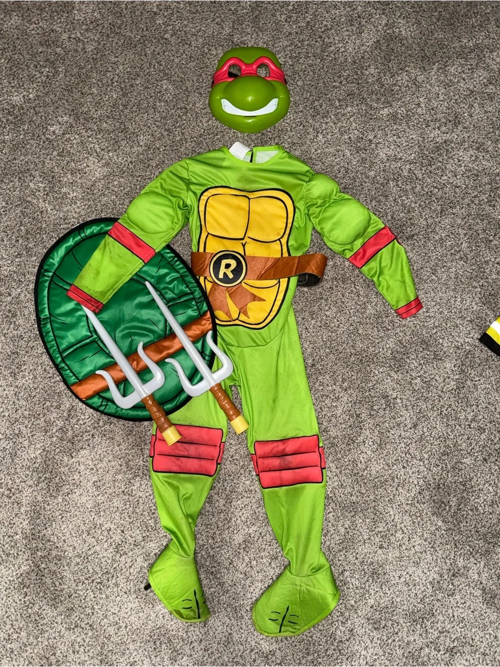 N/A green raphael